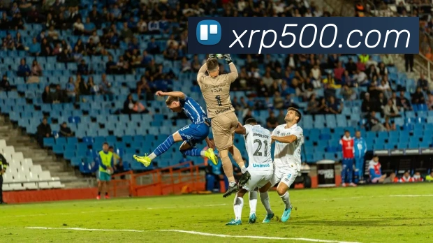 App Interface Preview